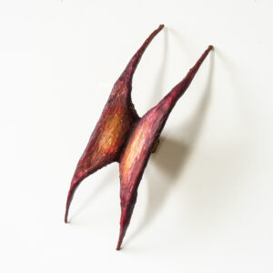 wanderer, 2025, carrie R