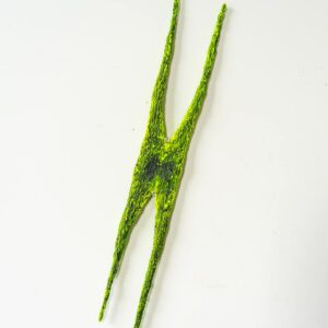 flying solo, 2025, carrie R