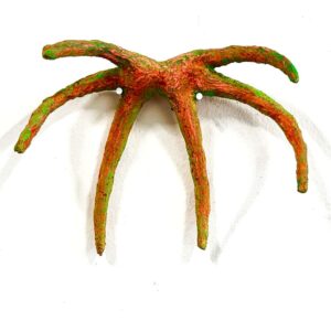 tired star, 2025, carrie R